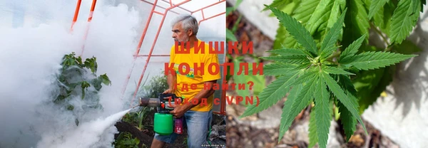 винт Аркадак