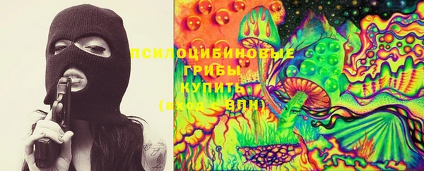 молекула духа Арсеньев