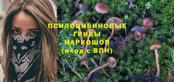 винт Аркадак