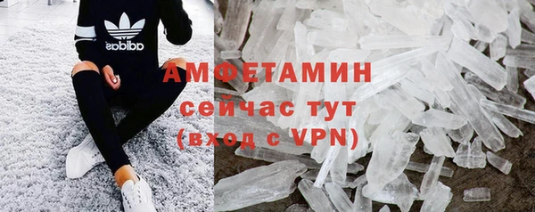 молекула духа Арсеньев