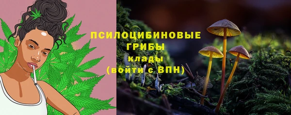2c-b Россошь