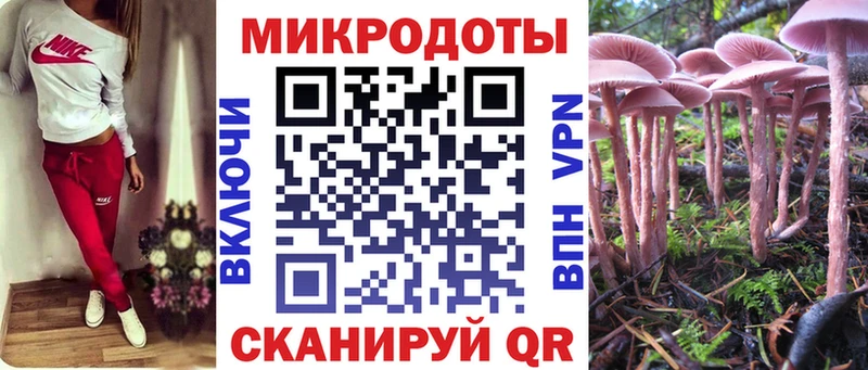 Галлюциногенные грибы Cubensis  даркнет сайт  Суровикино 